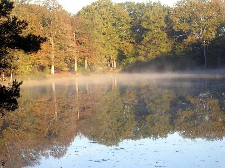 2007 10 Expo Champignons St Leger